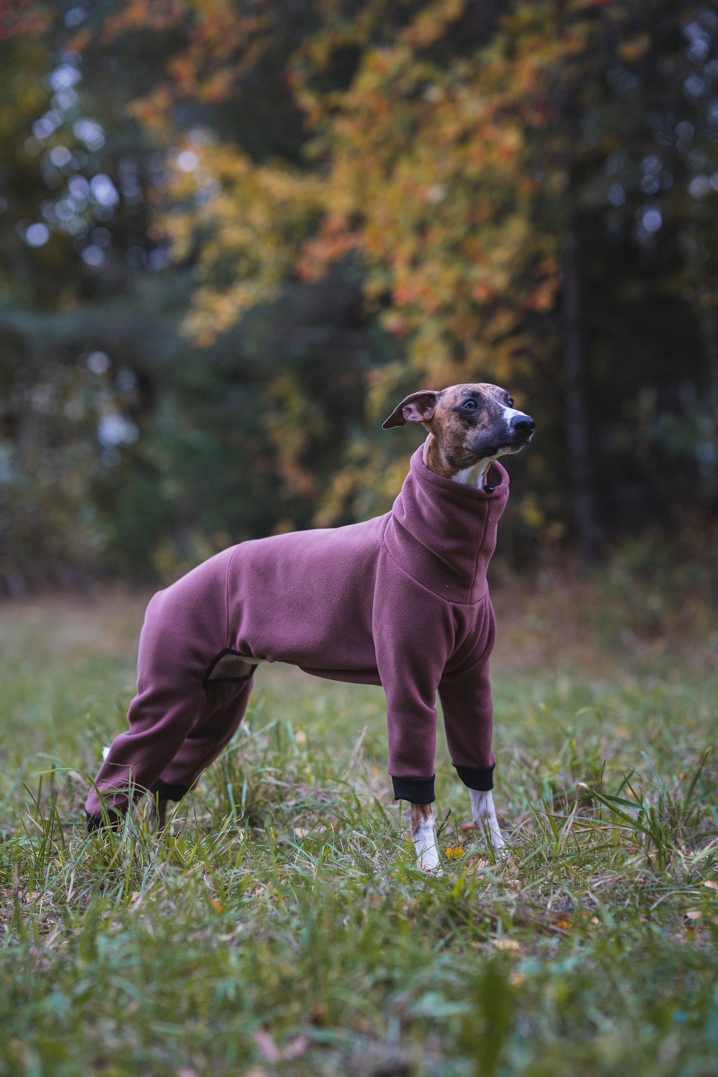 Mundo Galgo Fleecehaalari