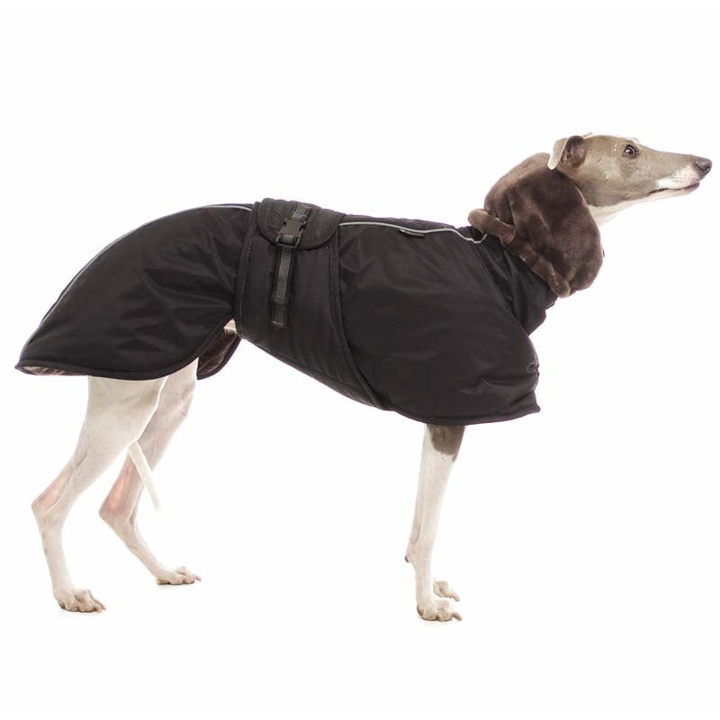 Sofa Dog Wear Elvis - Talvitakki