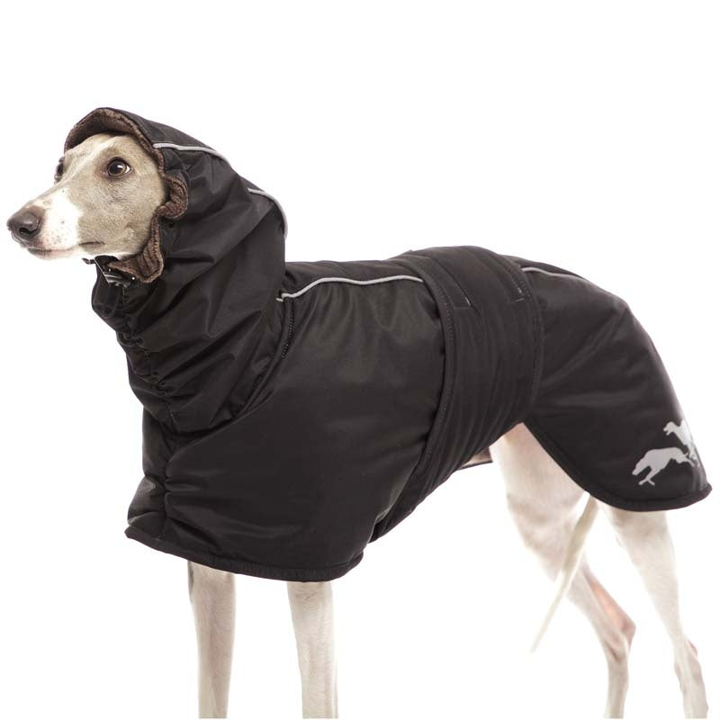 Sofa Dog Wear Elvis - Talvitakki