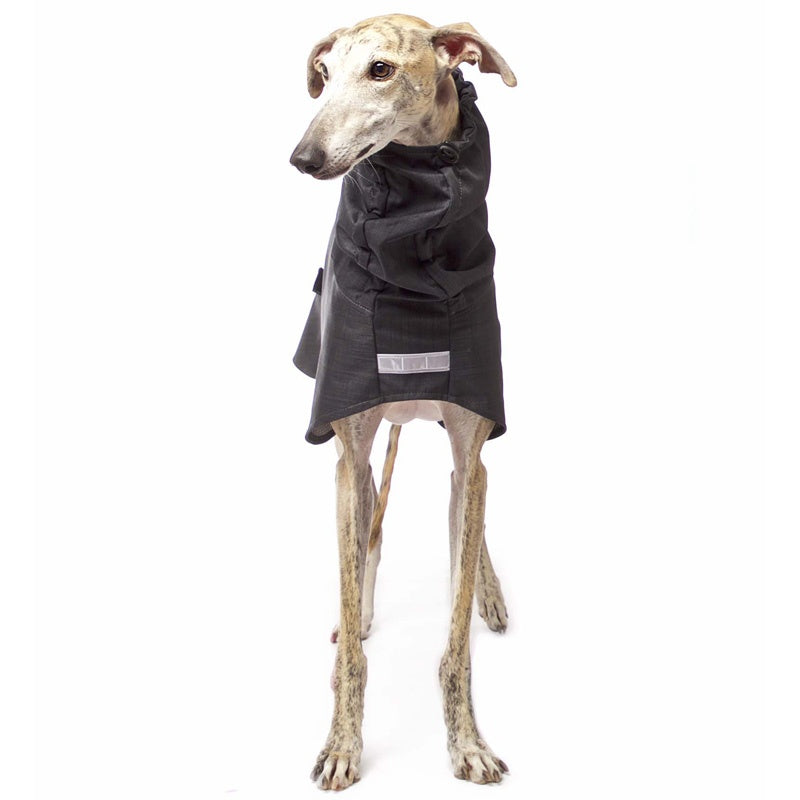 Sofa Dog Wear Gabriel - Softshell-takki