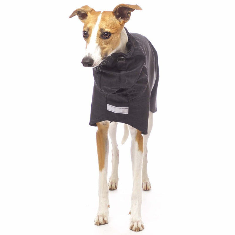 Sofa Dog Wear Gabriel - Softshell-takki
