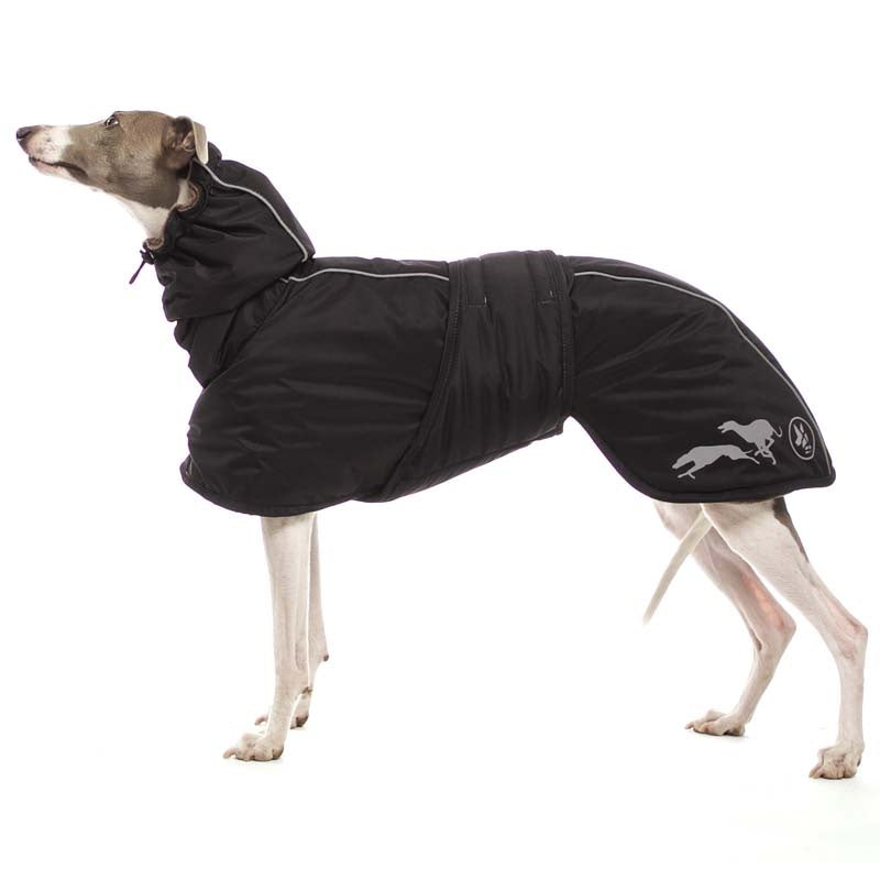 Sofa Dog Wear Elvis - Talvitakki