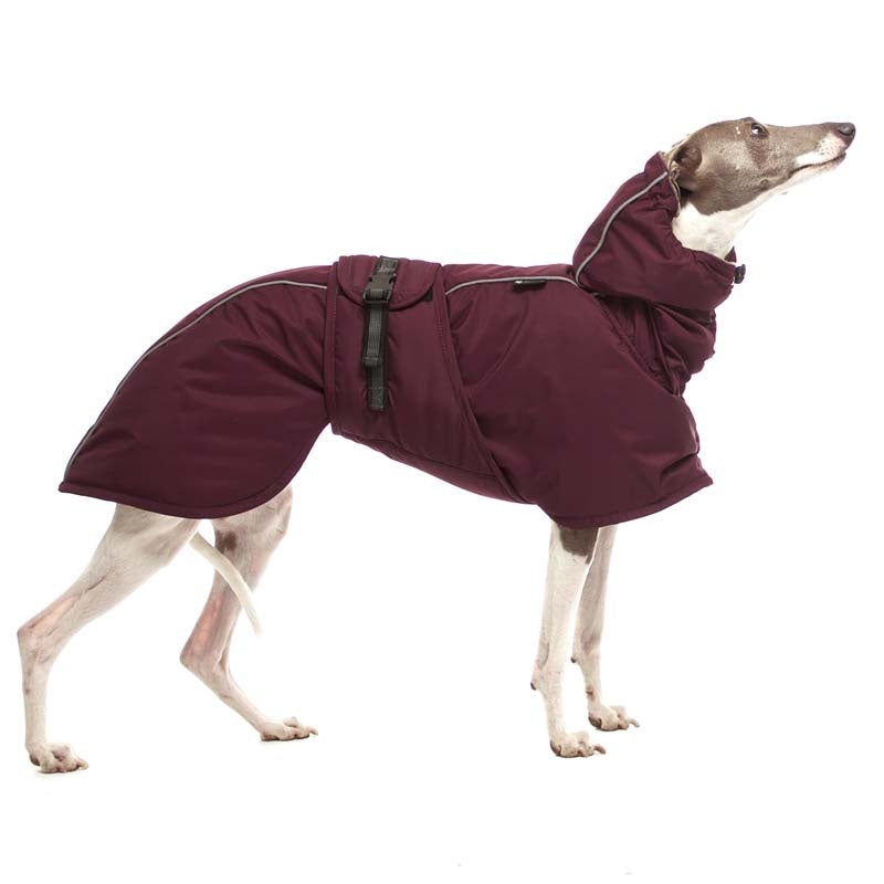Sofa Dog Wear Elvis - Talvitakki