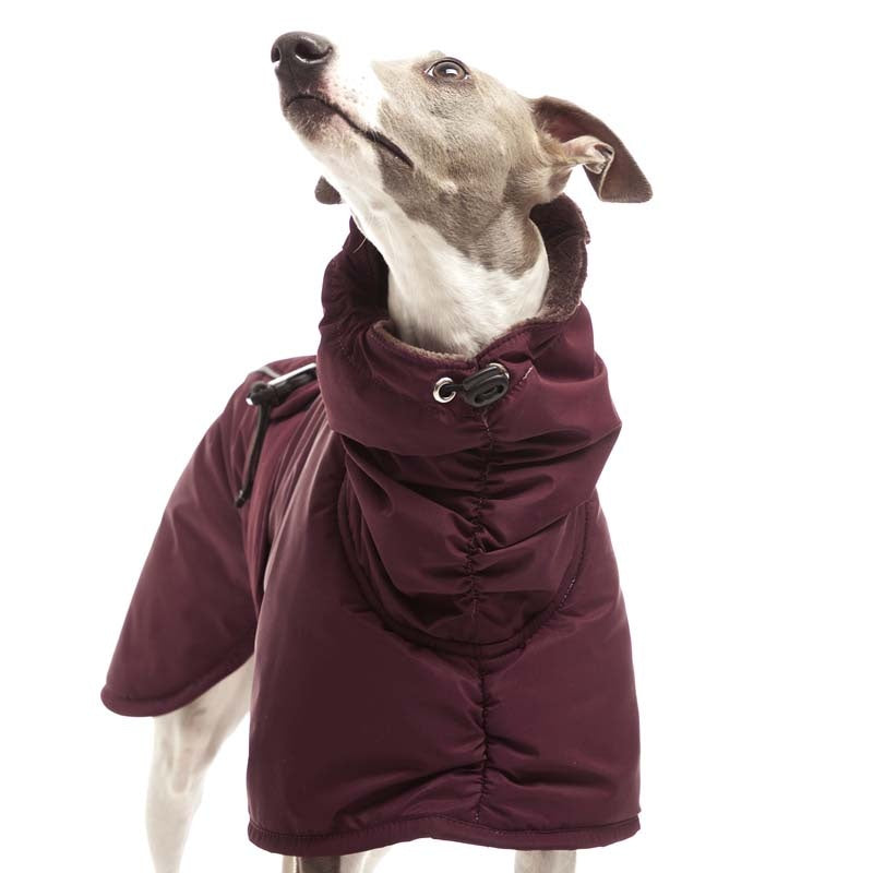 Sofa Dog Wear Elvis - Talvitakki