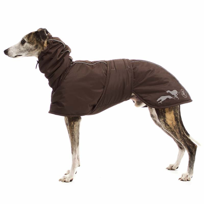 Sofa Dog Wear Elvis - Talvitakki