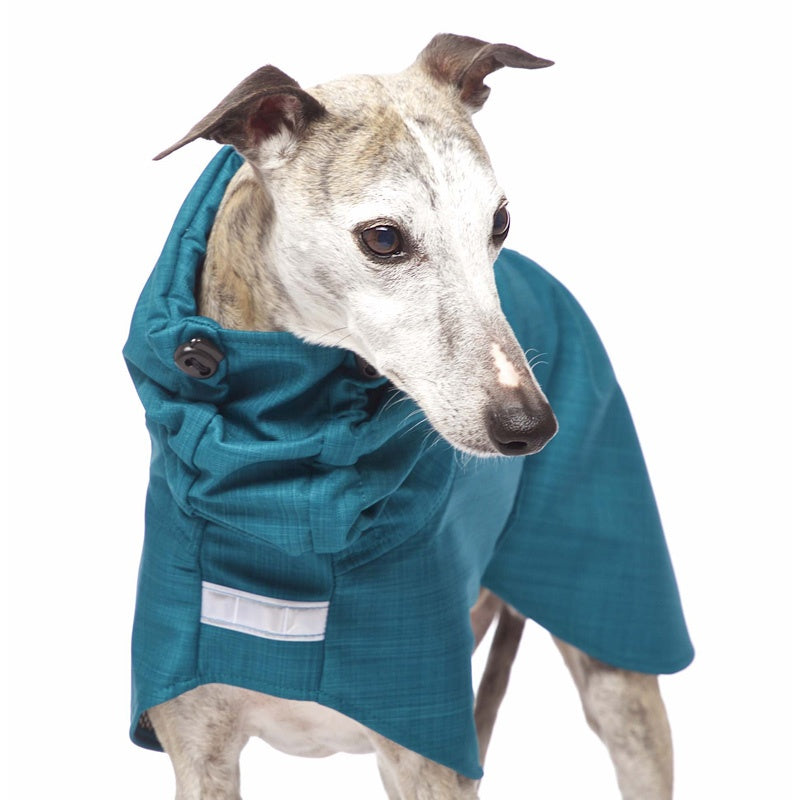 Sofa Dog Wear Gabriel - Softshell-takki