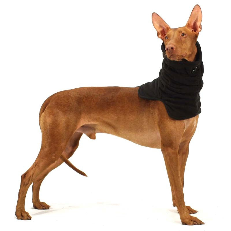 Sofa Dog Wear Leonardo - Kauluri