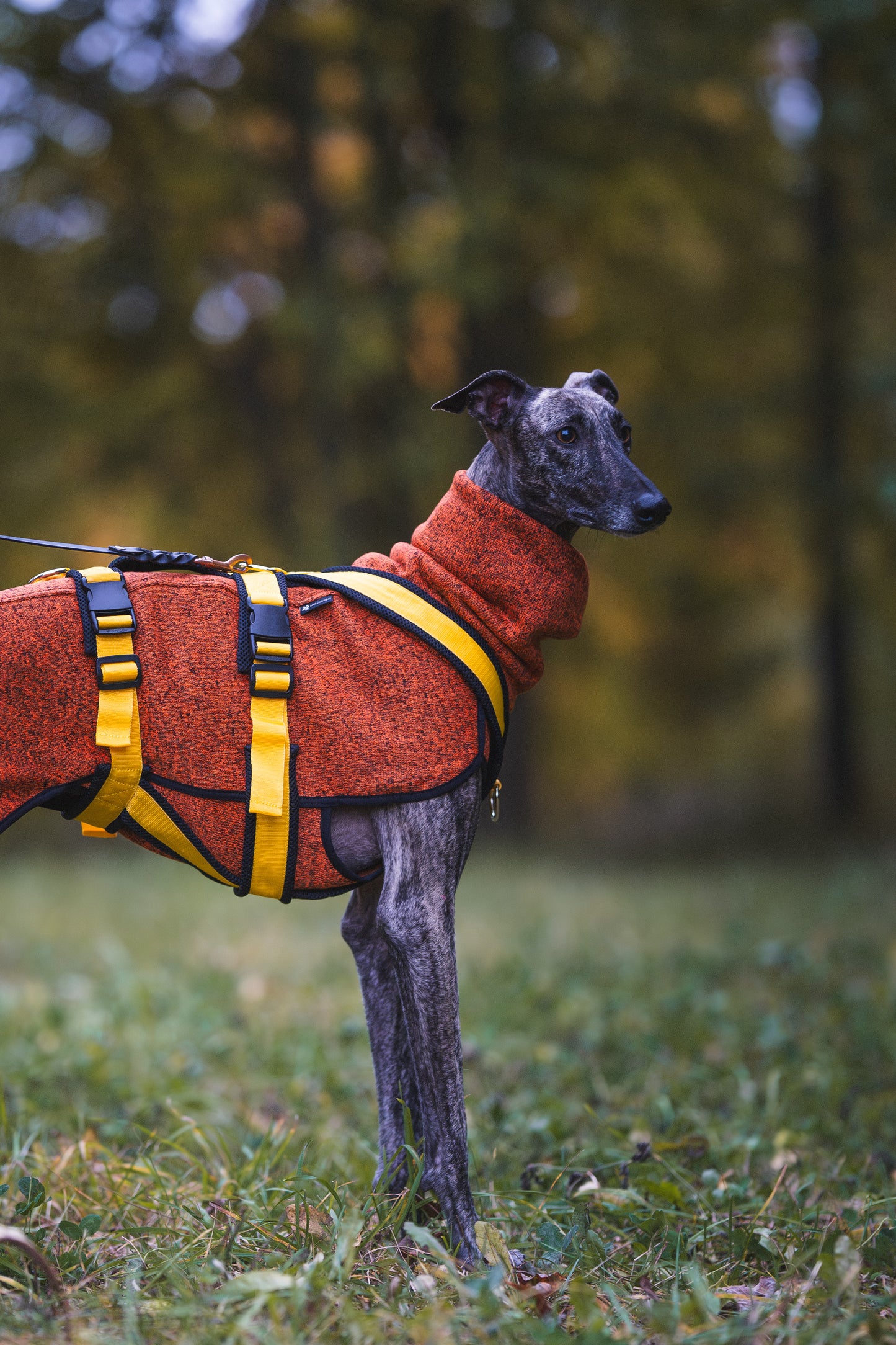 Sofa Dog Wear Valjaat jarrulla S2-L1