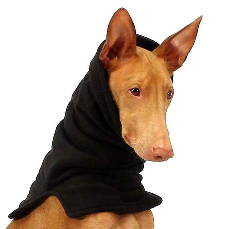 Sofa Dog Wear Leonardo - Kauluri