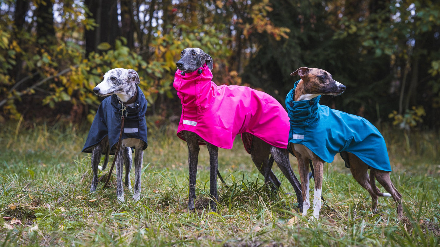 Sofa Dog Wear Gabriel - Softshell-takki