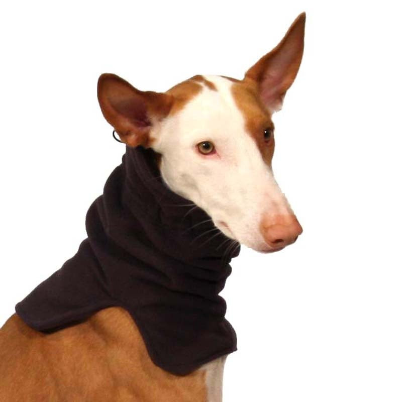 Sofa Dog Wear Leonardo - Kauluri