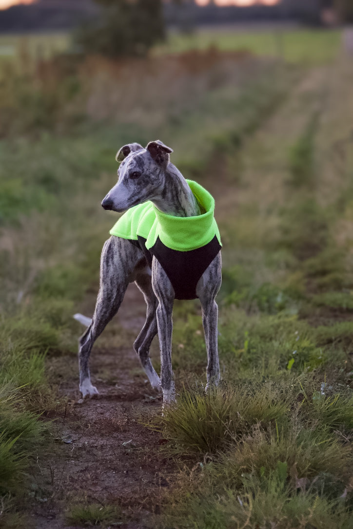 Sofa Dog Wear Hachico NS-Home - Fleece