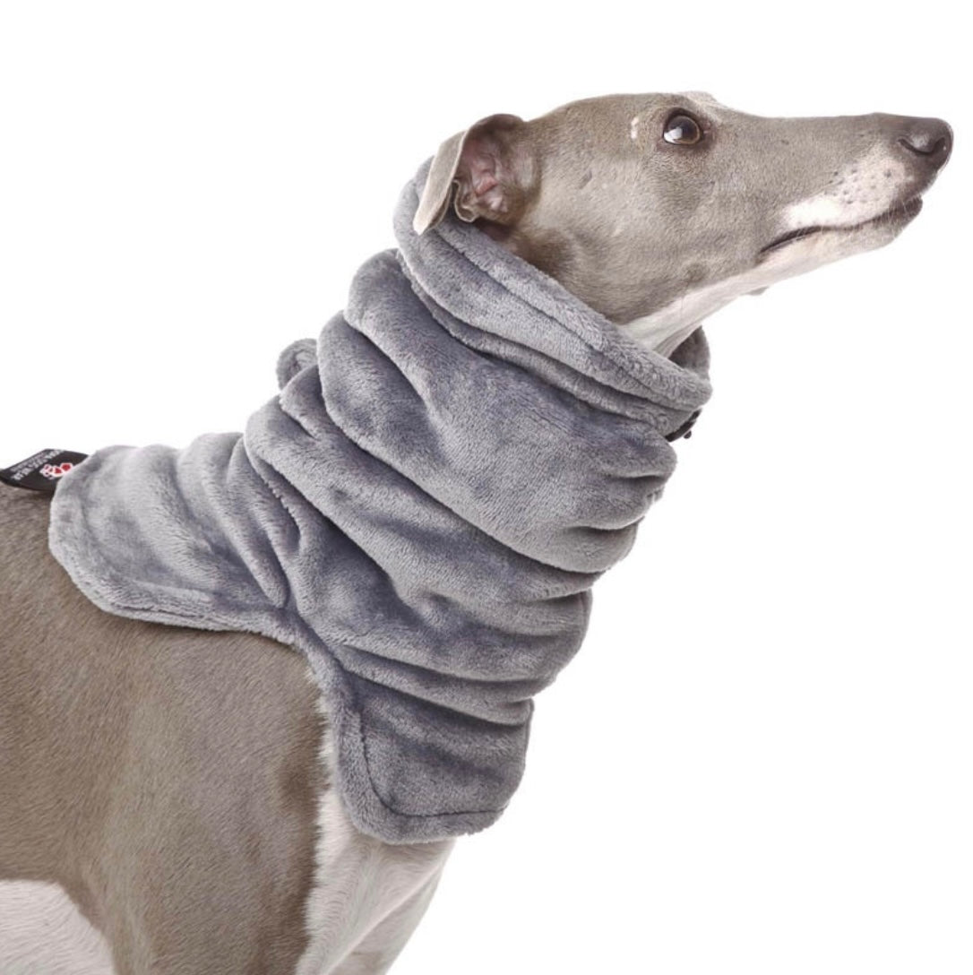 Sofa Dog Wear Rafael - Kauluri