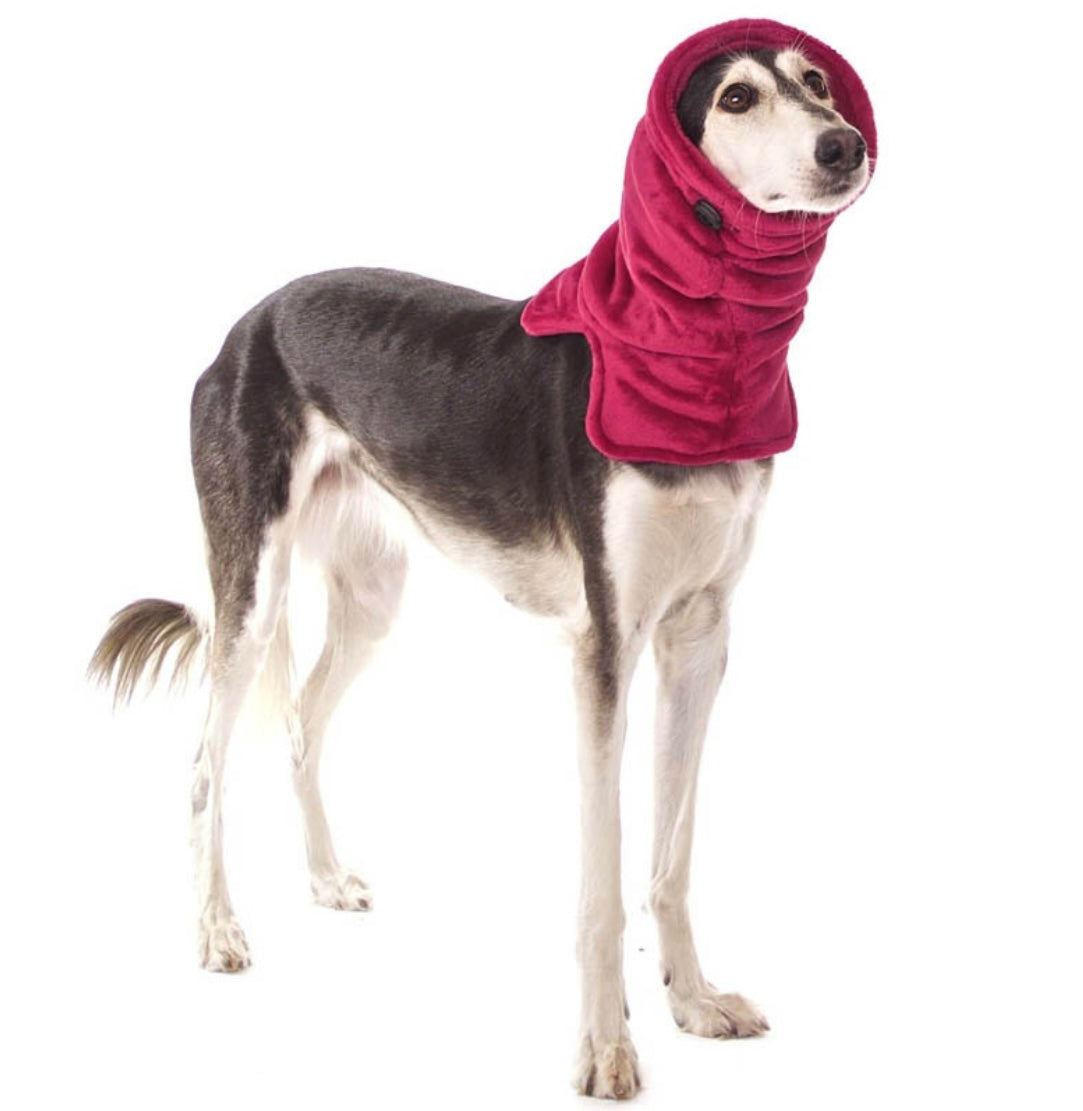 Sofa Dog Wear Rafael - Kauluri