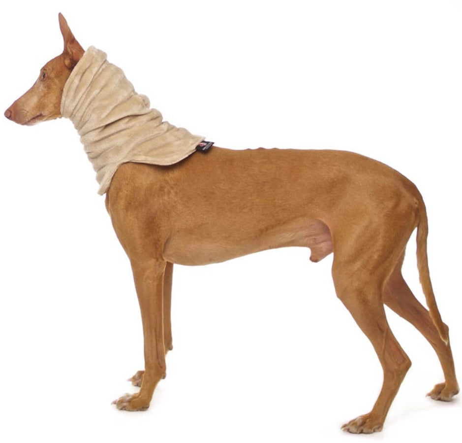 Sofa Dog Wear Rafael - Kauluri