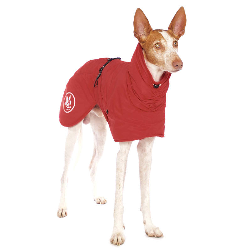 Sofa Dog Wear Anubis - Talvitakki