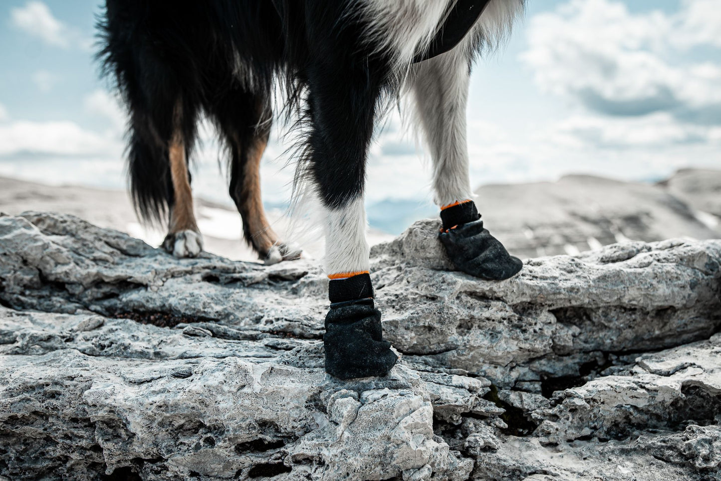 Non-Stop Protector Bootie