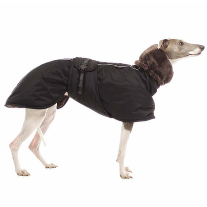Sofa Dog Wear Elvis - Talvitakki
