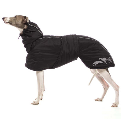Sofa Dog Wear Elvis - Talvitakki
