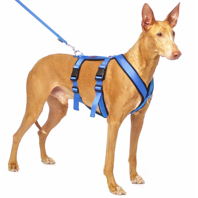 Sofa Dog Wear Valjaat jarrulla S2-L1