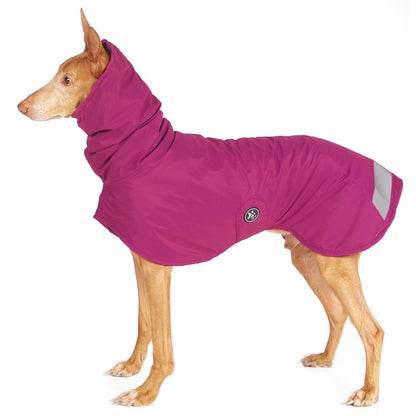 Sofa Dog Wear Michael Snow - Talvitakki