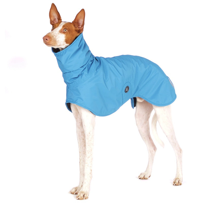 Sofa Dog Wear Michael Snow - Talvitakki