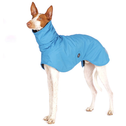 Sofa Dog Wear Michael Snow - Talvitakki