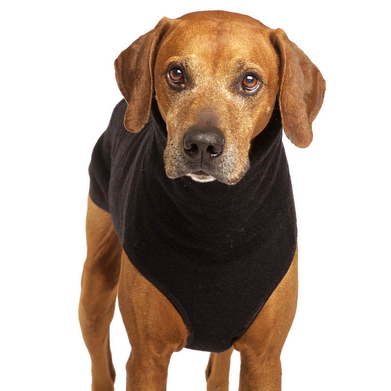 Sofa Dog Wear Hachico Exclusive Jumper