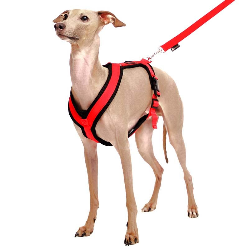 Sofa Dog Wear Y-Valjaat XS1-S2