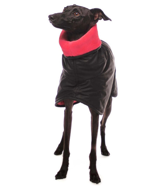 Michael Coolrain XS1