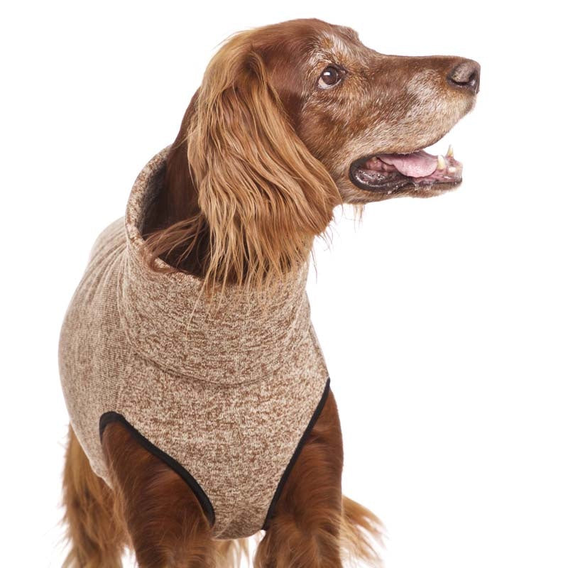 Sofa Dog Wear Hachico Jumper